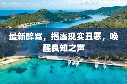 最新醉骂，揭露现实丑恶，唤醒良知之声