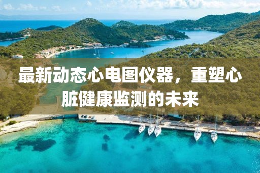 最新动态心电图仪器，重塑心脏健康监测的未来