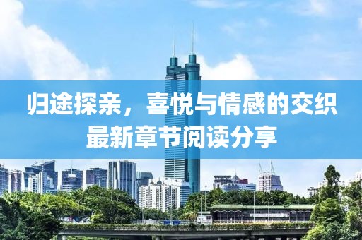 归途探亲，喜悦与情感的交织最新章节阅读分享