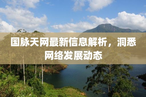 国脉天网最新信息解析，洞悉网络发展动态