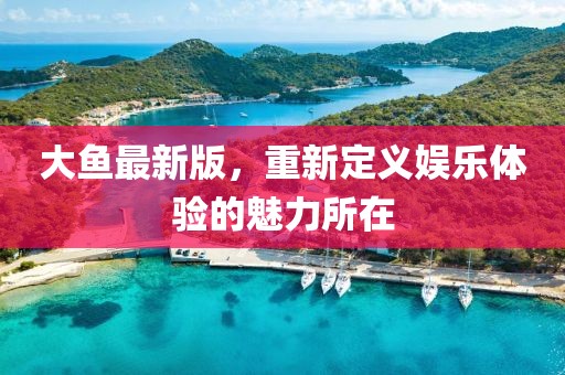 大鱼最新版，重新定义娱乐体验的魅力所在