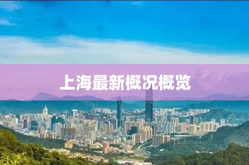 上海最新概况概览