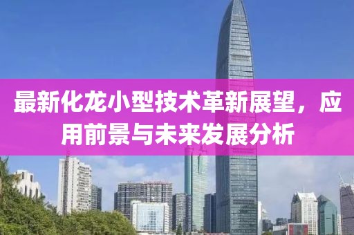 最新化龙小型技术革新展望，应用前景与未来发展分析