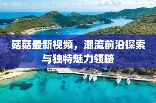 菇菇最新视频，潮流前沿探索与独特魅力领略