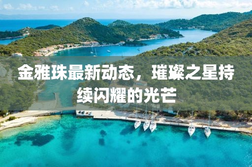 金雅珠最新动态，璀璨之星持续闪耀的光芒