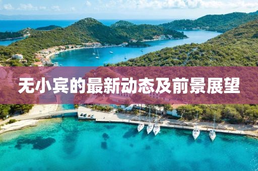 无小宾的最新动态及前景展望