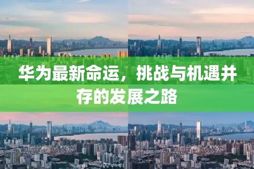 折了往衷 第11页