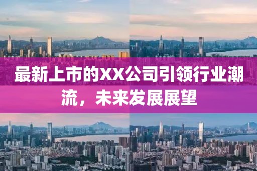 最新上市的XX公司引领行业潮流，未来发展展望