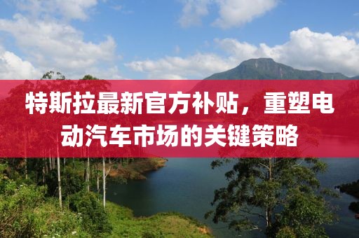 特斯拉最新官方补贴，重塑电动汽车市场的关键策略
