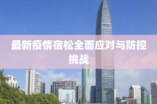 最新疫情宿松全面应对与防控挑战