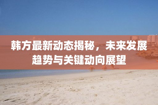韩方最新动态揭秘，未来发展趋势与关键动向展望