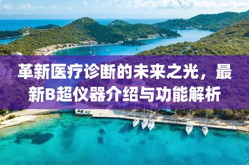 革新医疗诊断的未来之光，最新B超仪器介绍与功能解析