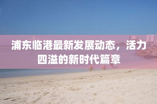 浦东临港最新发展动态，活力四溢的新时代篇章