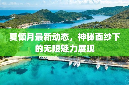 夏倾月最新动态，神秘面纱下的无限魅力展现