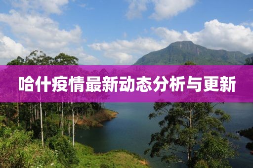 哈什疫情最新动态分析与更新