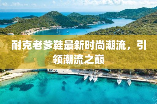 耐克老爹鞋最新时尚潮流，引领潮流之巅