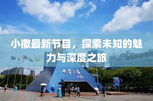 小撒最新节目，探索未知的魅力与深度之旅