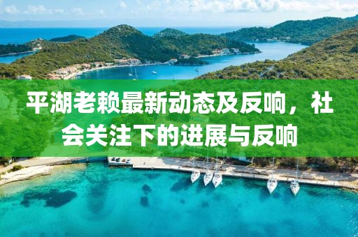 平湖老赖最新动态及反响，社会关注下的进展与反响