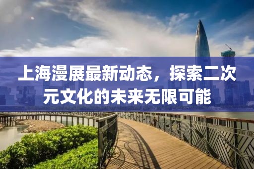 上海漫展最新动态，探索二次元文化的未来无限可能