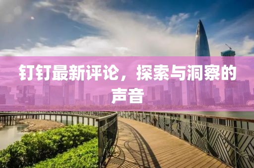 钉钉最新评论，探索与洞察的声音