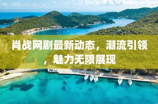 肖战网剧最新动态，潮流引领，魅力无限展现