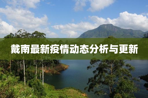 戴南最新疫情动态分析与更新