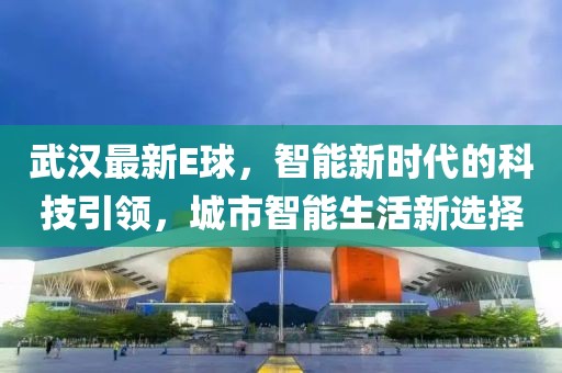 武汉最新E球，智能新时代的科技引领，城市智能生活新选择