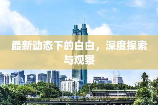 最新动态下的白白，深度探索与观察