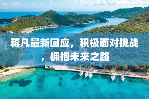 蒋凡最新回应，积极面对挑战，拥抱未来之路