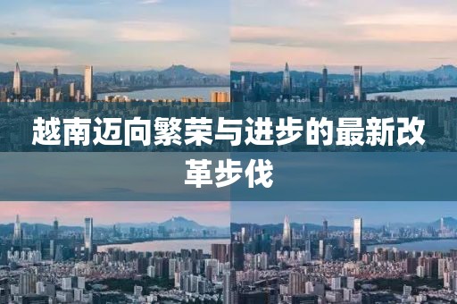 越南迈向繁荣与进步的最新改革步伐