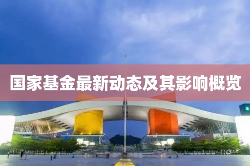 国家基金最新动态及其影响概览