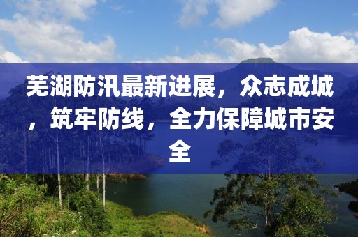 芜湖防汛最新进展，众志成城，筑牢防线，全力保障城市安全