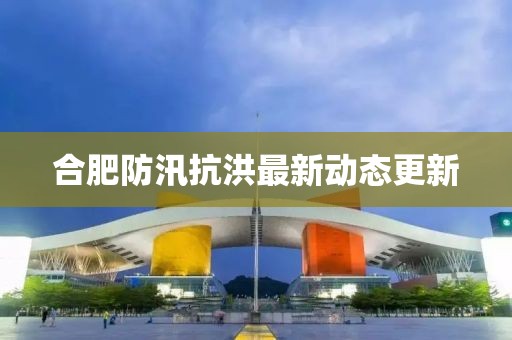合肥防汛抗洪最新动态更新