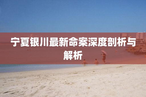 宁夏银川最新命案深度剖析与解析