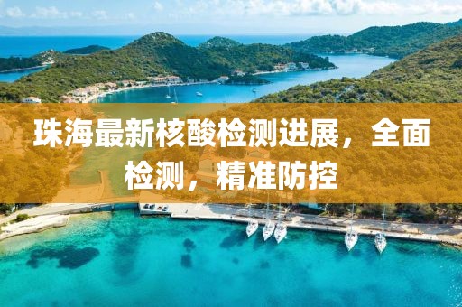 珠海最新核酸检测进展，全面检测，精准防控