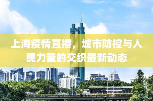 上海疫情直播，城市防控与人民力量的交织最新动态