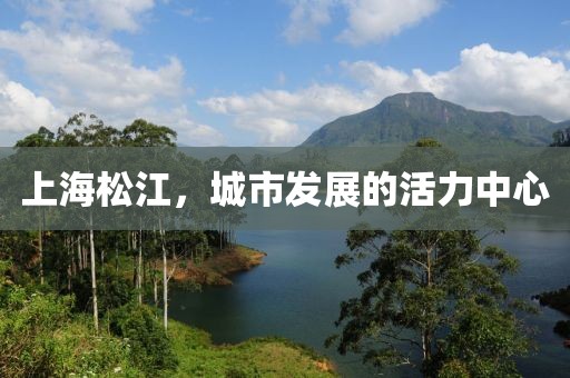 曼城雨季 第11页
