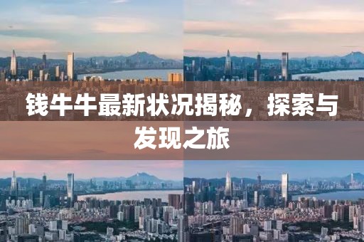 钱牛牛最新状况揭秘，探索与发现之旅