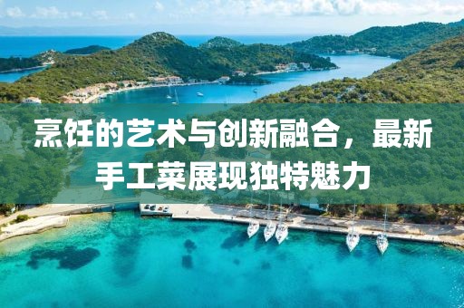 烹饪的艺术与创新融合，最新手工菜展现独特魅力