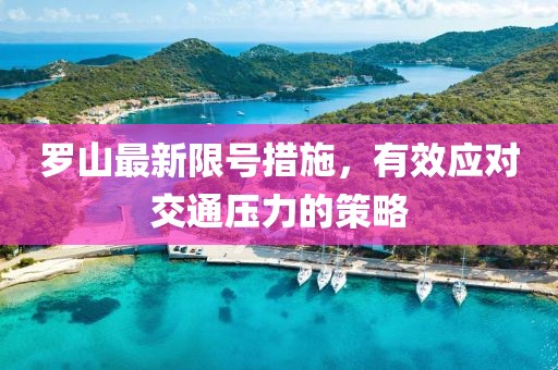 罗山最新限号措施，有效应对交通压力的策略