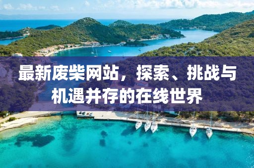 最新废柴网站，探索、挑战与机遇并存的在线世界