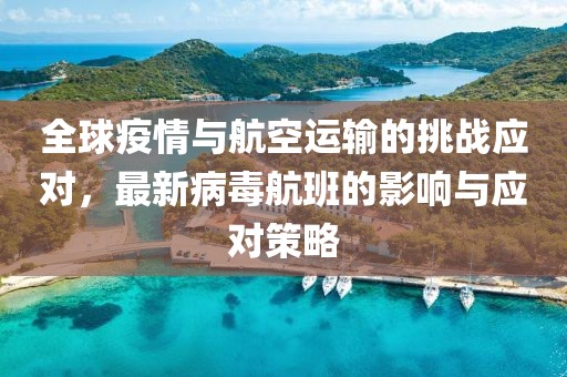 全球疫情与航空运输的挑战应对，最新病毒航班的影响与应对策略