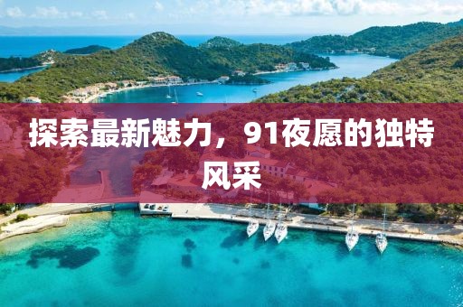 探索最新魅力，91夜愿的独特风采