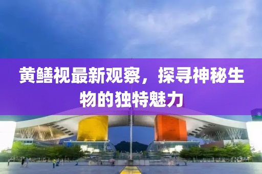 黄鳝视最新观察，探寻神秘生物的独特魅力