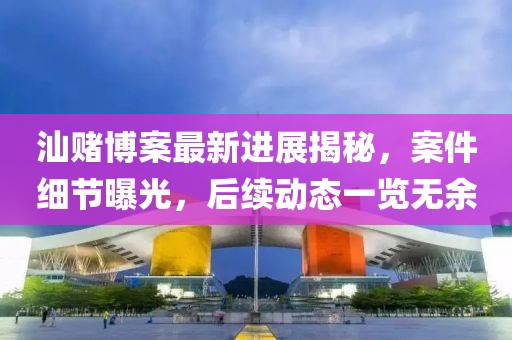 汕赌博案最新进展揭秘，案件细节曝光，后续动态一览无余