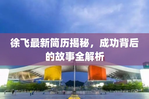 徐飞最新简历揭秘，成功背后的故事全解析