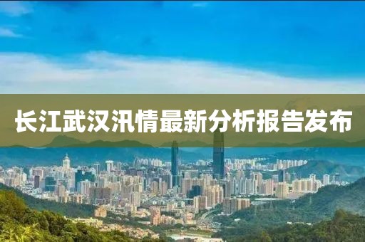 长江武汉汛情最新分析报告发布
