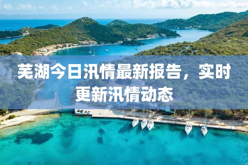 芜湖今日汛情最新报告，实时更新汛情动态