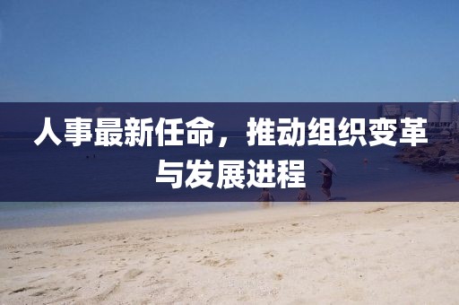 人事最新任命，推动组织变革与发展进程
