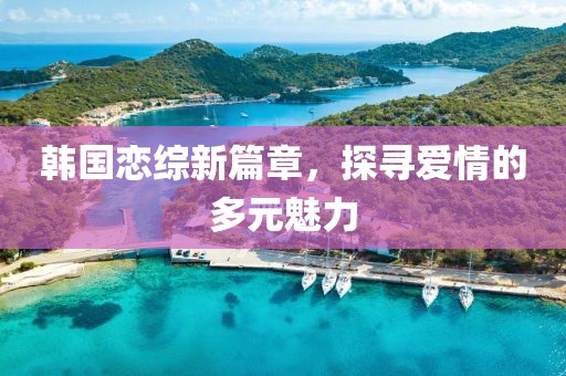 韩国恋综新篇章，探寻爱情的多元魅力